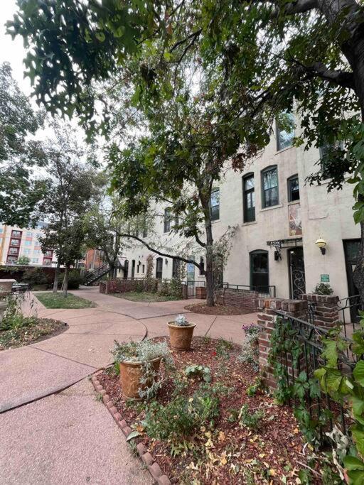 Affordable & Chic Rino/Lodo/Dtown Loft- Walkable Apartment Denver Exterior photo
